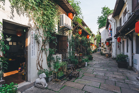 向上爬山虎杭州小河直街与爬山虎背景