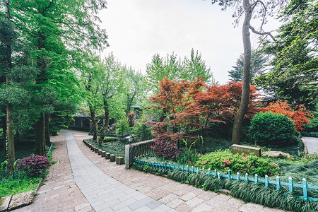 绿色饭店莫干山风景区景点背景