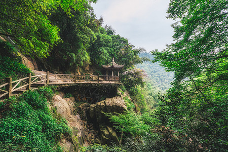 花卉背景春武里峡谷高清图片