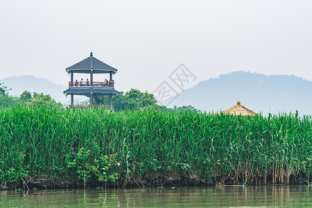 德清下渚湖湿地图片