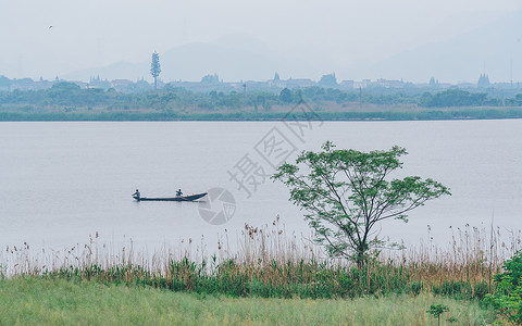 德清下渚湖湿地背景图片