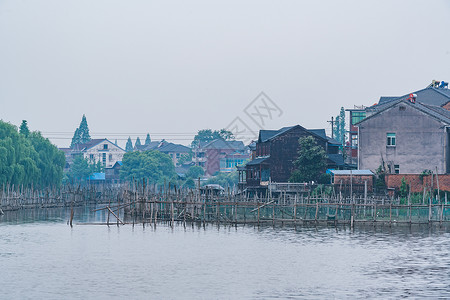 德清下渚湖湿地背景图片