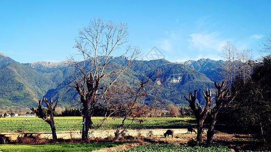 高黎贡山脉下的田野高清图片