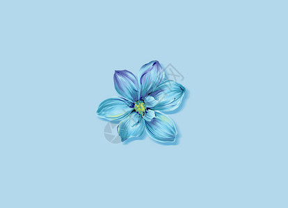 手绘蓝色植物手绘花朵设计图片