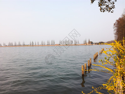 淀山湖背景图片