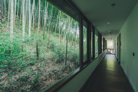 森林聚会莫干山民宿背景