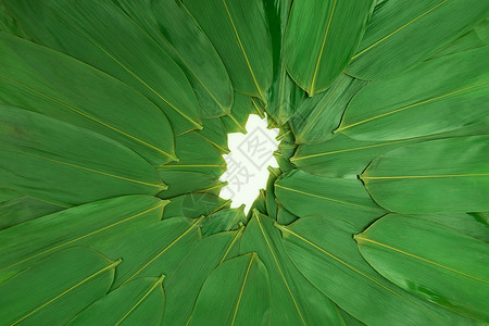 粽叶传统文化白色包高清图片