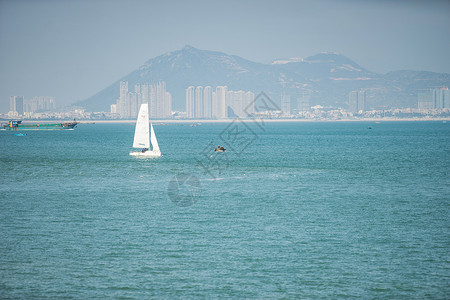 海景远景素材厦门的海景和城市高楼大厦背景