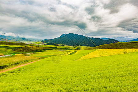 祁连山脉的原野背景图片