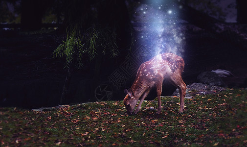 森林精灵森林里的鹿精灵幻化成星河设计图片