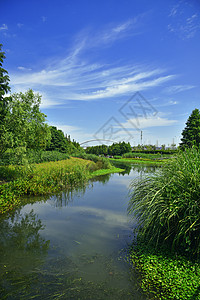 芦苇滩后滩公园背景