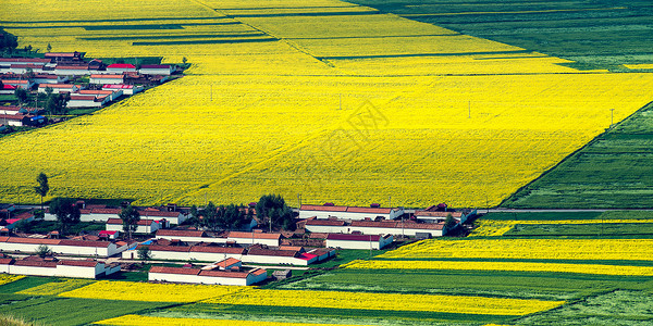 黄色立体标签花田村庄背景