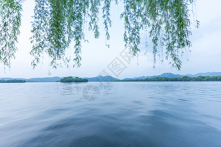 大水面杭州西湖清晨自然风景背景