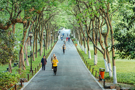 共享清新空气杭州西湖清晨慢跑的人们背景