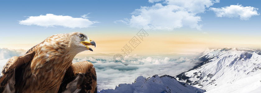蓝天山老鹰设计图片