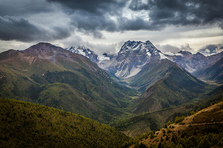 风景白马白马雪山背景