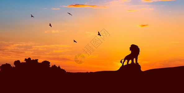 狮子插图狮子王背景