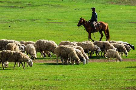 牧羊人骑马背影高清图片