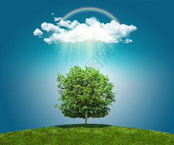 彩虹草地阳光照射的一棵树设计图片