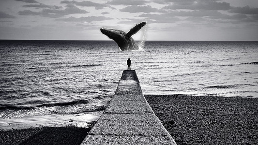 鲸鱼幻想超现实鲸鱼高清图片