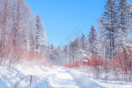 雪背景图片