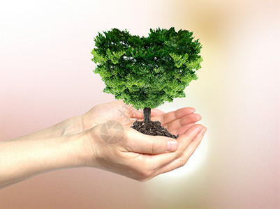 植物土商业手捧爱心树创意设计图片