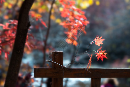 非农村场景小房流水伊人背景