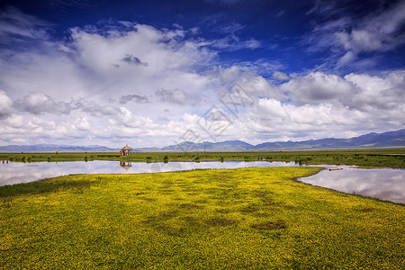 草地板报素材花湖风光背景