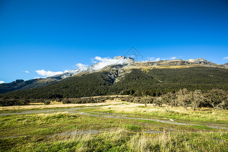 新西兰南岛草原雪山背景图片