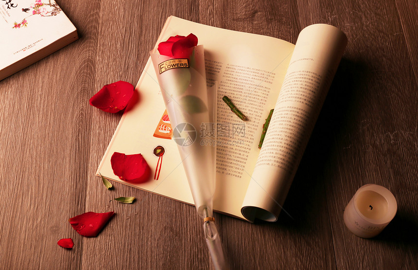 玫瑰花，情人节图片