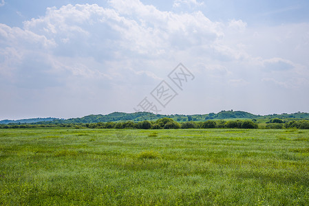 草原背景图片
