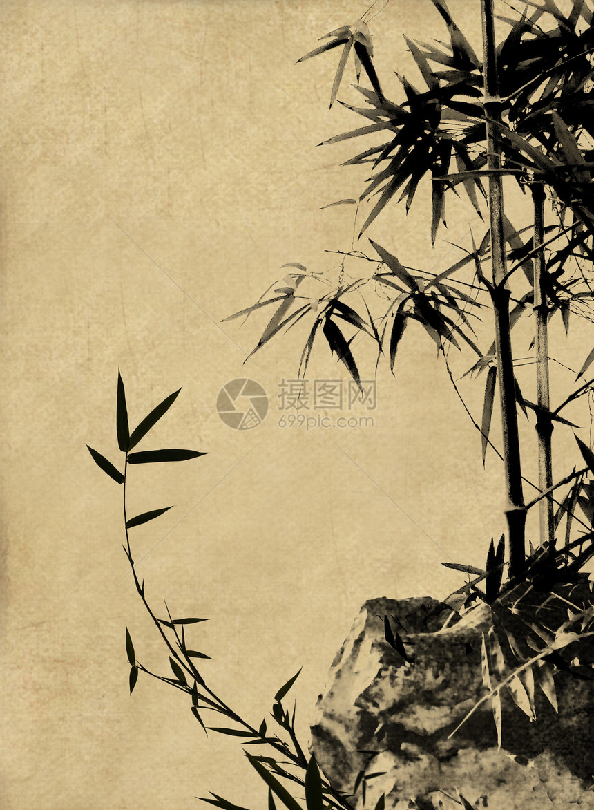 中国风的竹子图片