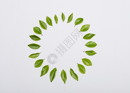 圆形纹理素材创意绿色树叶背景