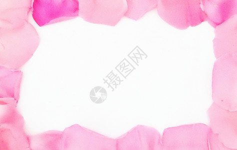 情人节边框素材白底粉色红色玫瑰花瓣边框背景