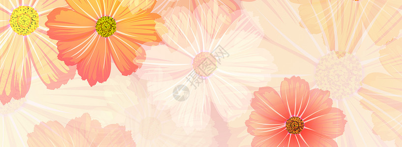 粉黄背景花卉banner设计图片