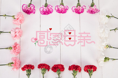 粉红蔷薇母情节设计图片