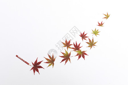 红色秋天海报创意枫叶造型背景