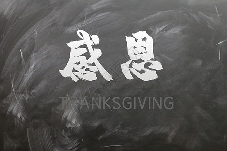 上海书法艺术字感恩书法字体设计图片