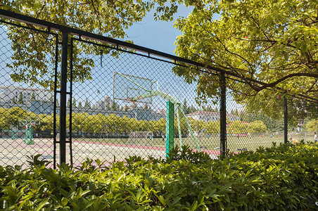 夏天室外大学篮球场背景
