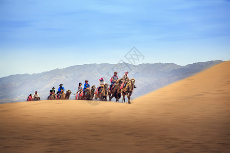 走进沙漠骆驼户外高清图片