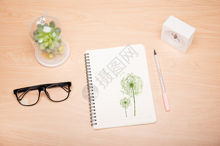 笔记本和眼睛绿色的蒲公英设计图片
