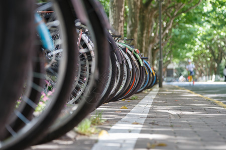 免扣马路png素材大学里的林荫道背景