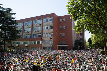 教学楼前的自行车背景图片