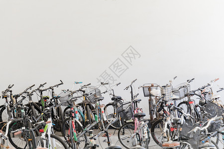 校园里的自行车高清图片