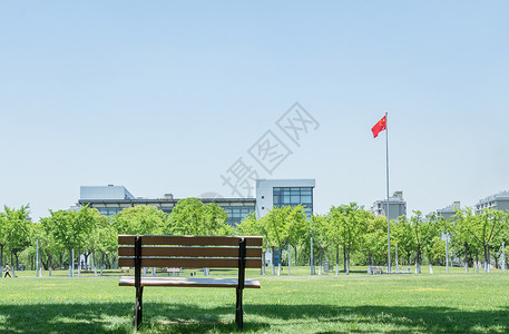 学校配图毕业季配图校园林荫道背景