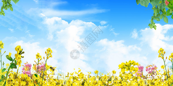 花香物语蓝天白云背景设计图片