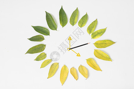 绿叶做的时钟图片