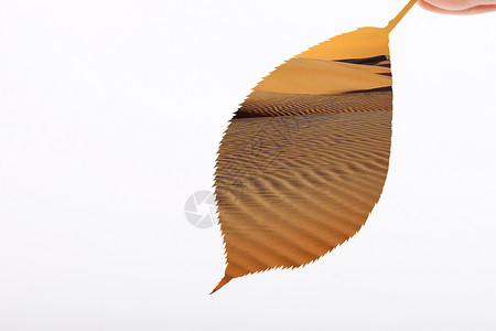 黄色可掬”树叶“设计图片