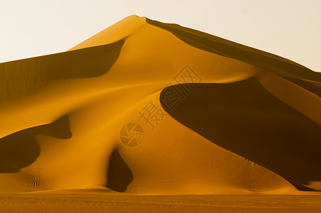 领略自然魅力魅力曲线沙漠背景