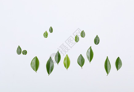 原创立体字海报创意树叶造型背景